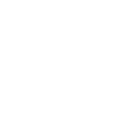 Branding Icon